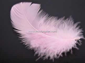 Doos veertjes l.roze