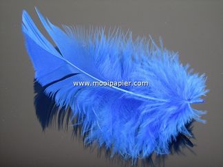 Doos veertjes blauw
