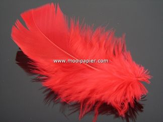 Doos veertjes rood