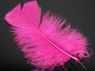 Doos veertjes fuchsia