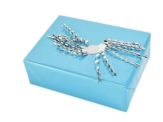 100 Spindeco's Zilver