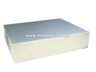 25 Magneetdoos 22x16,5x3 cm VPD078 Glans zilver