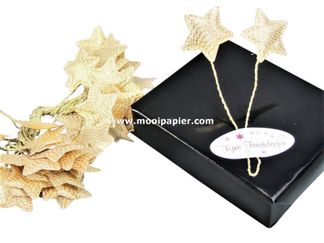 2 x 24 Kerstster Gd.