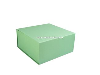 25 Magneetdoos 42,5 x 33,3 cm Groen VPD130