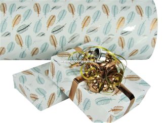 30cm Cadeaupapier R74601M