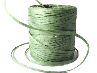 Paper Raffia 25