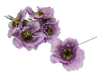 60 bloem Lila