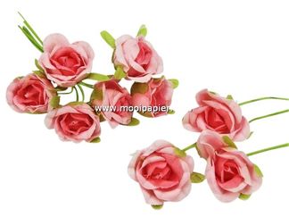 60 Roosjes Roze