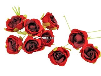60 Roosjes Rood